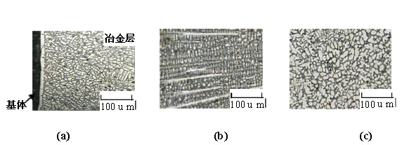 表面冶金層金相組織
